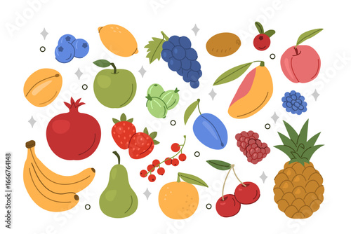 Fruits and berries set. Grapefruit, mango, plum, apricot, blueberry assortment collection. Fruit harvesting concept. Vector illustration.