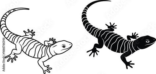 Lizard vector illustration of reptile outline and solid black art