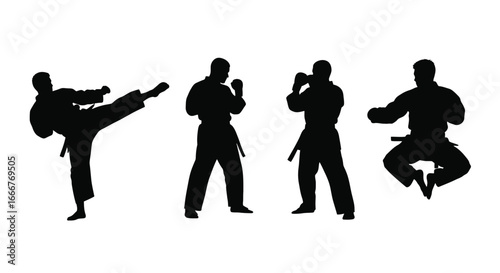 Martial arts silhouettes dynamic karate fighters in action poses for combat sports and training vector