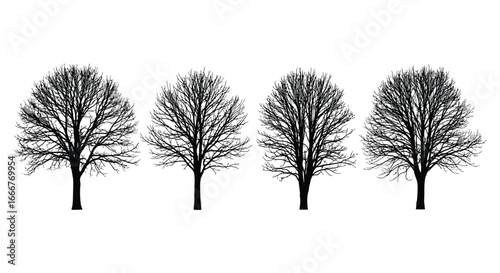 Four detailed black and white artistic depictions of bare deciduous trees in winter landscape vector