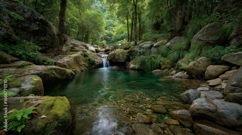 small waterfall in the forest