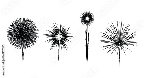 Abstract stylized fireworks exploding in a celebration of light and sparkle vector