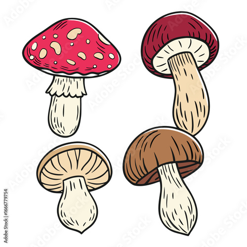Mushrooms vector illustration isolated on white background