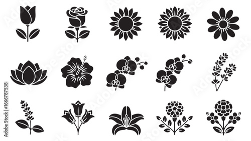 Flower, botanical icon set