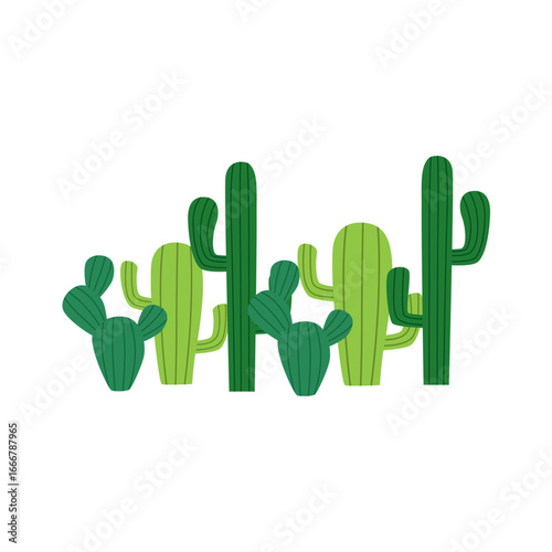 A charming collection of green cactus plants with ribbed textures, showcasing a variety of shapes and sizes against a clean white background.