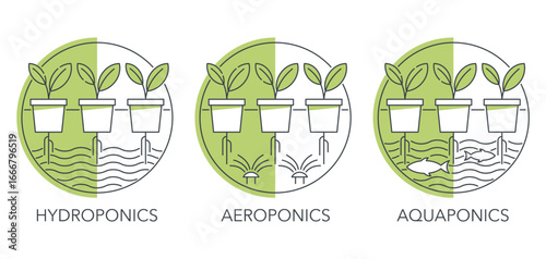 Hydroponics, Aeroponics, Aquaponics - green icons in thin line
