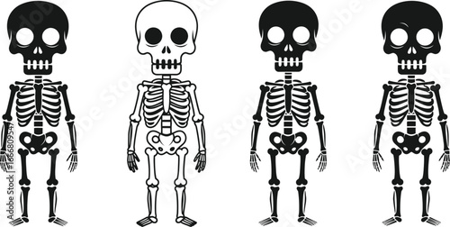 Cartoon skeleton vector illustration anatomical bone structure design