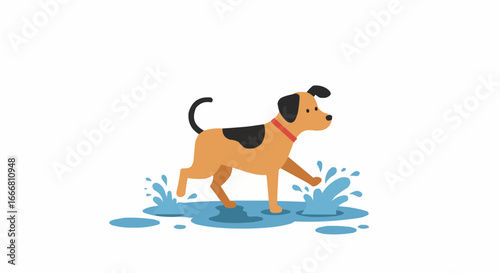 Dog splashing in puddles with playful expression on white background  