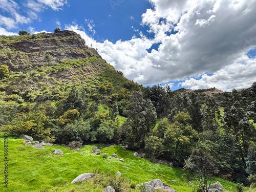 Green mountains with dramatic clouds and eucalyptus trees in the foreground