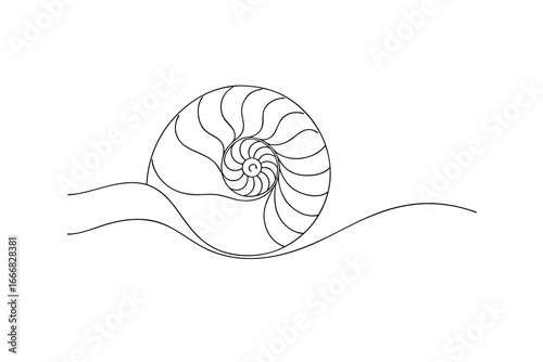Stylized continuous line drawing a nautilus shell wavy lines Continous line spiral