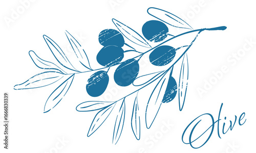 Olive Branch Sketch, Hand Drawn, Vintage, Blue, Plant, Aesthetic Line Art, Olive Branch Doodle, Leaves, Silhouette, EPS 10, Vector