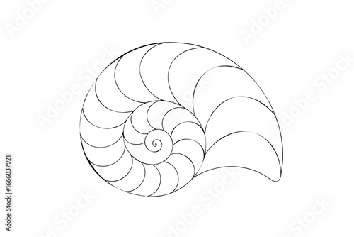 Continous line continuous line drawing a nautilus shell spiral ocean