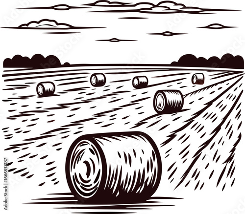 Engraved rural landscape with hay bales on harvested field and clouds in the sky, vintage drawing illustration