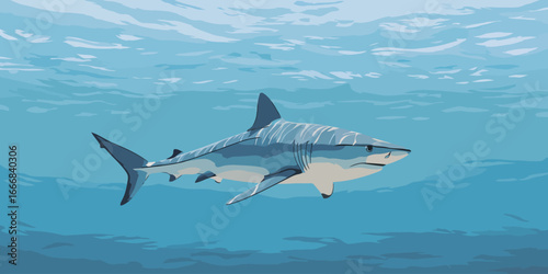 Stylized vector illustration of a powerful blue and grey shark swimming underwater with light reflections.