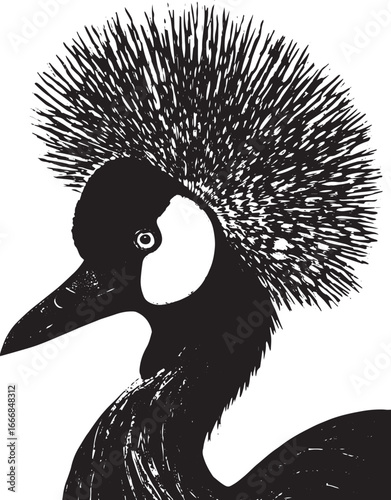 A woodcut of an African crowned crane, with a frontal view of its head, featuring black and white feathers and a large, crown-like crest white backround .eps
