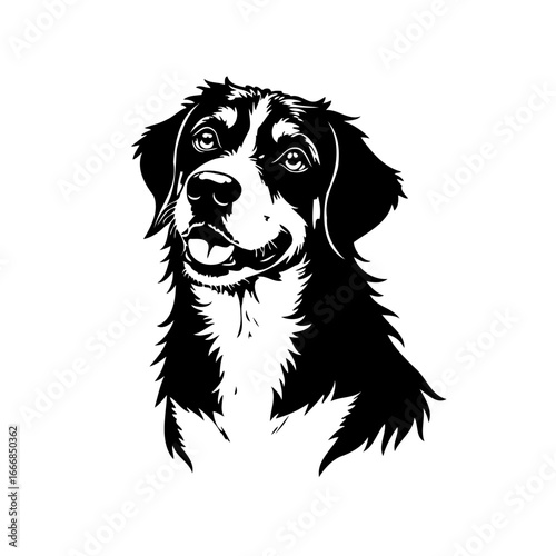 Elegant portrayal of a Bernese mountain dog in monochromatic illustration showcasing expressive