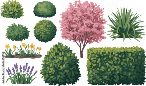 Garden plant collection, flowering bushes, green shrubs, pink blossom tree, isolated floral elements, landscaping vector set, spring garden decoration graphics.