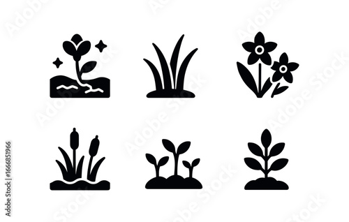 vector solid black filled icons germination period (wild plants): desert bloom grass sprouts alpine flowers wetland plants meadow growth shrub seedlings.