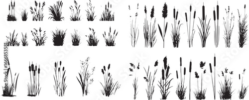 Abstract vector set of black silhouettes of grass, reeds, and cattails on a white background. Hand-drawn in a simple style illustration.eps
