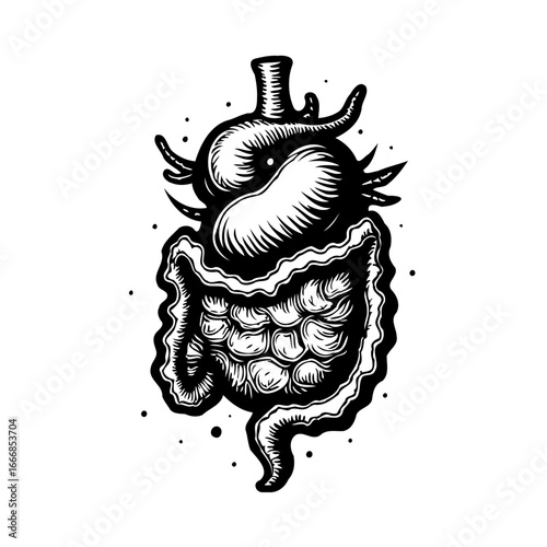 Intricate anatomical illustration depicting internal organs with stylized textures creating a