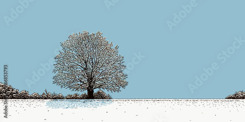 A large, solitary winter tree with intricate, snow-covered bare branches in a graphic, illustrative style.