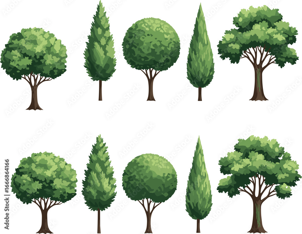 Fototapeta premium Variety of green trees, different shapes and sizes, vector illustration, natural landscape elements, garden design, nature environment, eco-friendly concept, plant collection.