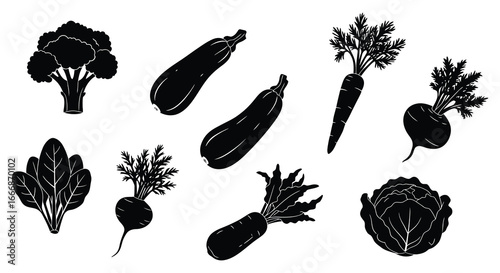A collection of various vegetables in silhouette on a white background