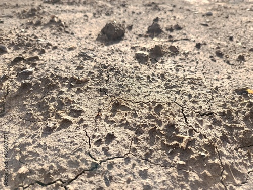 compacted and cracked earth surface close-up