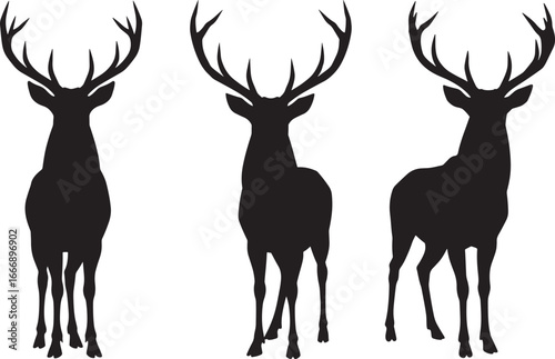 Three majestic deer standing in profile silhouette