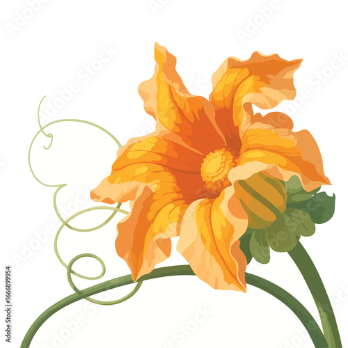 Flat pumpkin flower vector illustration
