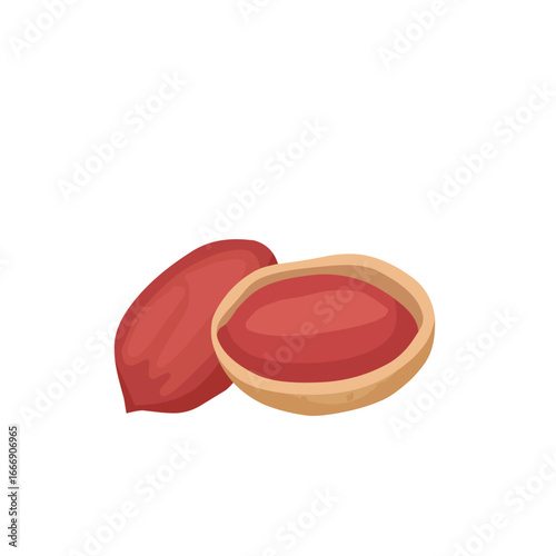Vector illustration of peeled peanuts without shell, isolated on white background. Realistic food design for nutrition, cooking ingredient, agriculture, and snack concept