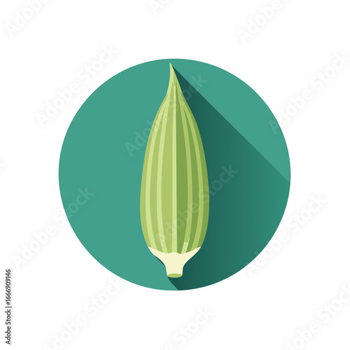 Okra Pod Flat Vector Icon Fresh Vegetable Symbol Food Design Illustration