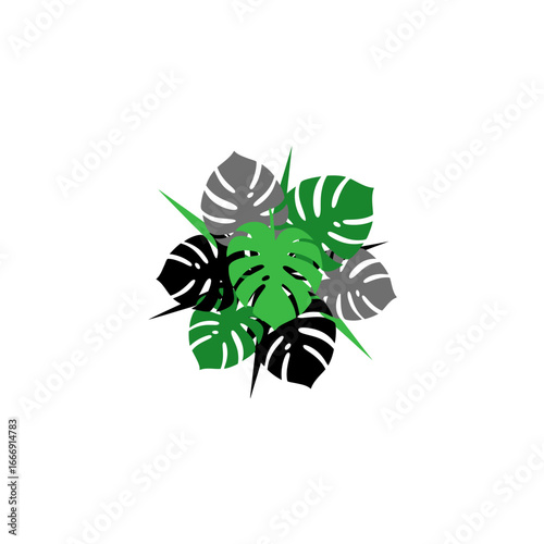 Monstera Leaves Stylish Illustration Design Icon Symbol Vector Element Tropical Green Nature Exotic