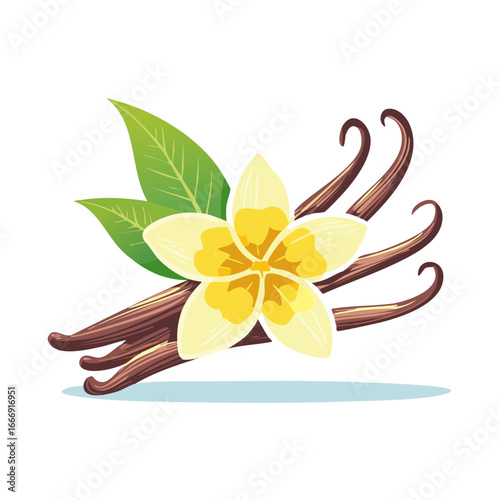 Illustration of Vanilla flower pods and green leaves isolated on white background