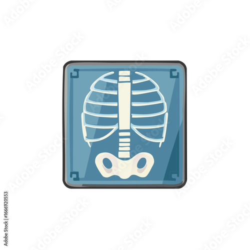 Cartoon xray film depicting rib cage and pelvis for medical exams and healthcare visuals