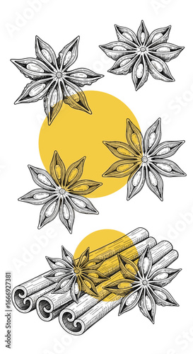 Aromatic spices collection featuring star anise and cinnamon sticks with yellow circles for culinary inspiration