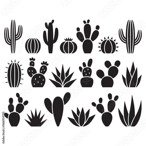 A large collection of black cactus and succulent silhouettes. A set of desert plant icons for design vector illustration