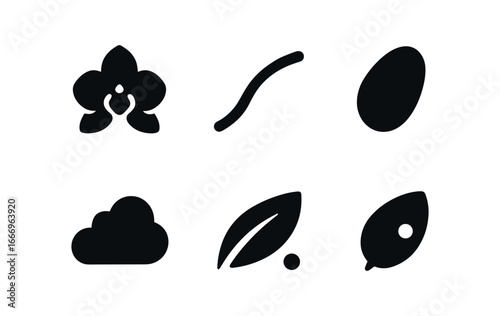vector solid black filled icons flower season (orchid bloom): orchid petal stem curve shadow smear highlight rim mist haze leaf dot.