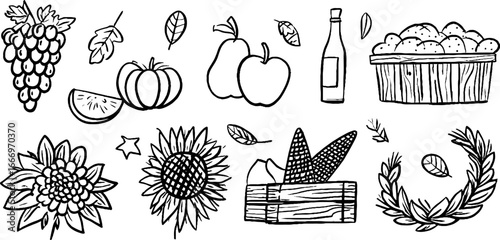 Hand drawn decorative grape clusters and autumn harvest elements for design