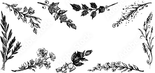 Elegant hand drawn ivy leaf and floral corner motifs for decorative design