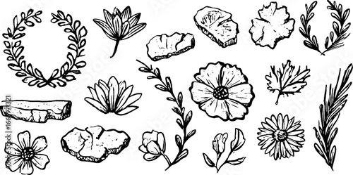 Hand drawn decorative botanical collection featuring lotus flowers and leaves for artistic design