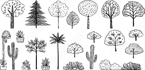 Set of hand drawn decorative tree and cactus doodles for creative designs