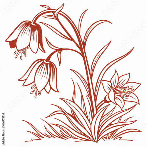 crown imperial funky orange vector