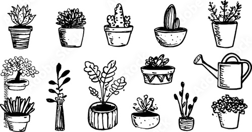 Charming collection of hand drawn decorative potted succulents for botanical design
