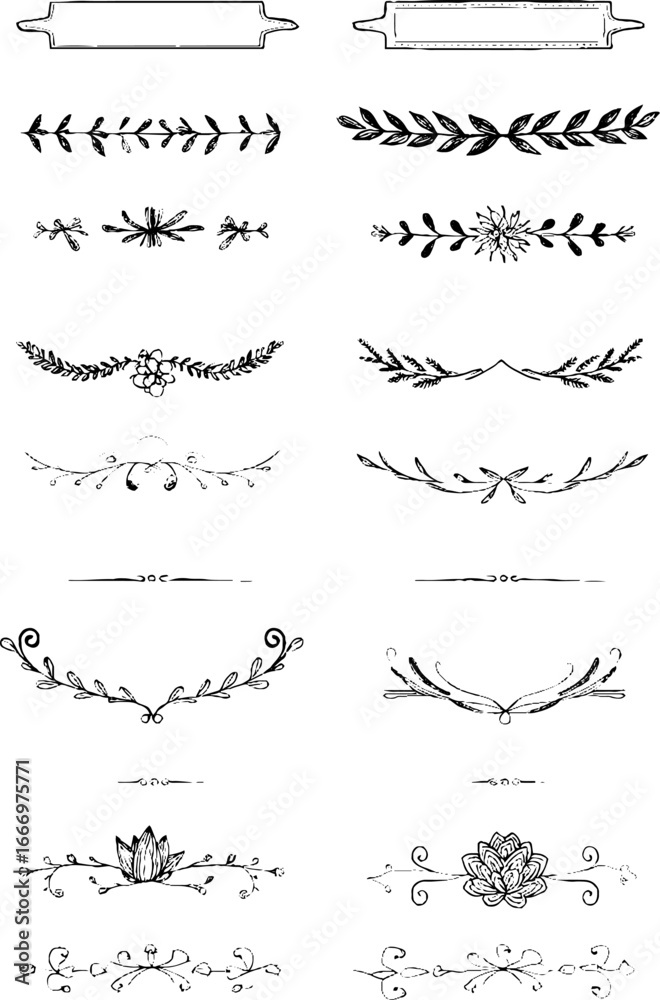 Obraz premium Collection of hand drawn succulent and decorative ribbons for creative designs