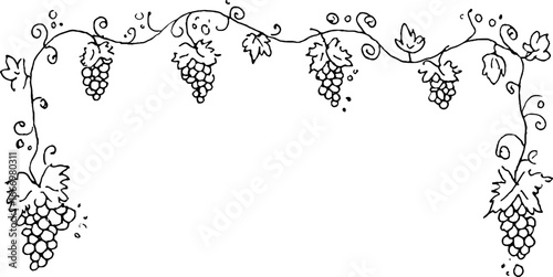 Hand drawn grapevine doodle border for decorative designs