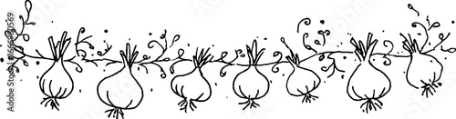 Hand drawn doodle border with onion sprouts - decorative design for cards and posters