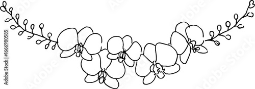 Hand drawn doodle border with orchid flowers for decorative design