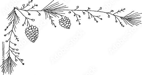 Hand drawn doodle border with spruce twigs and cones for winter holiday design