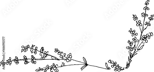 Hand drawn doodle lavender sprig corner design for invitations and cards